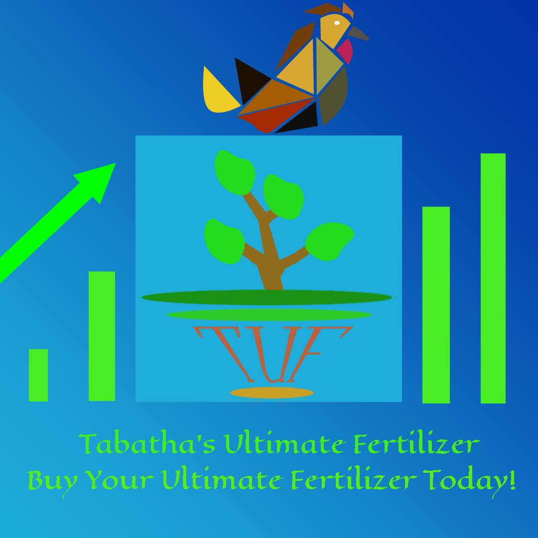 Image of Advertisement